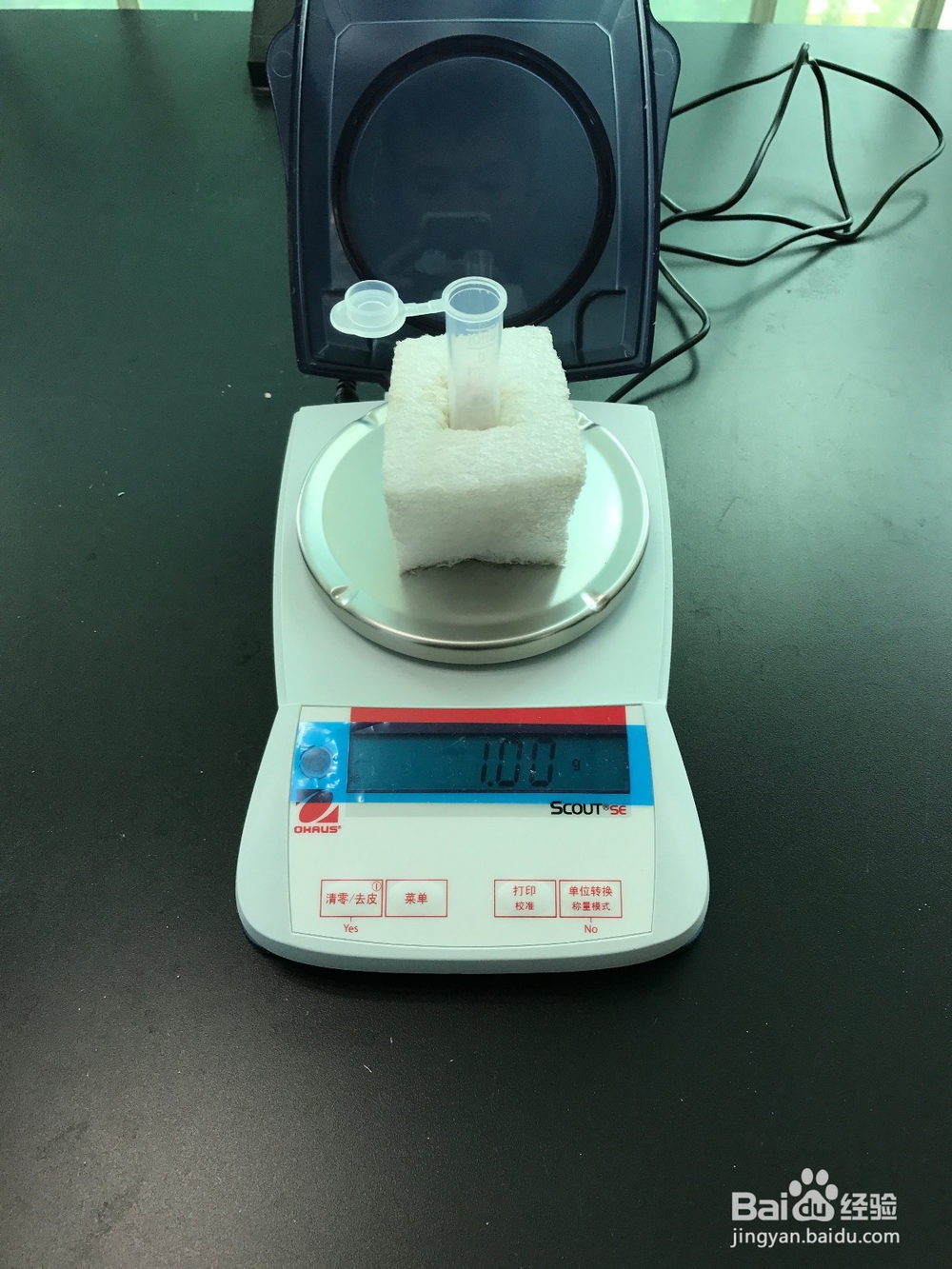 花生油等植物油中黄曲霉毒素B1快速定量检测操作