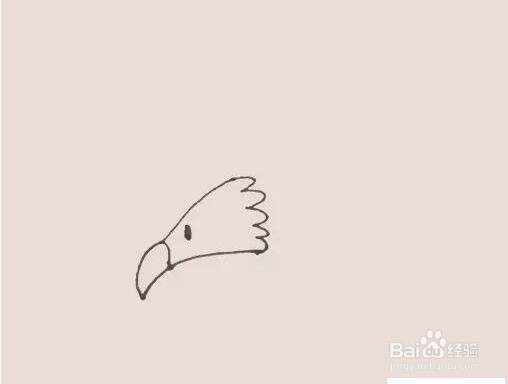 伴儿成长简笔画系列-怎样画老鹰简笔画