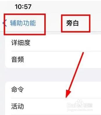 iPhone13怎么设置旁白导览的样式