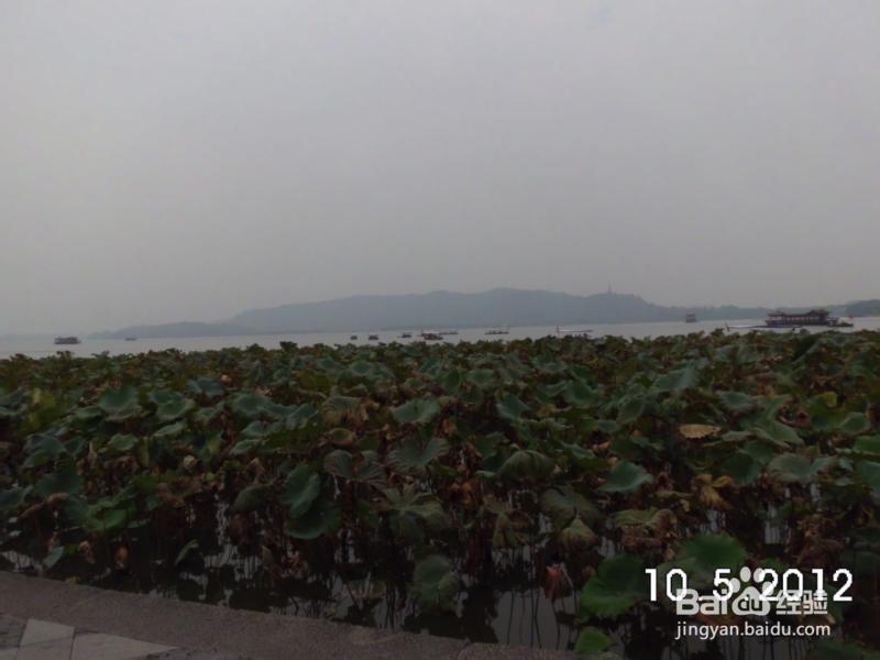 国庆孤身乌镇—西塘—上海5日游：[1]杭州西湖