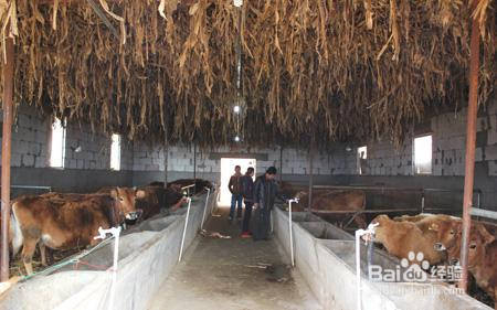 如何设计农房进行家庭养殖