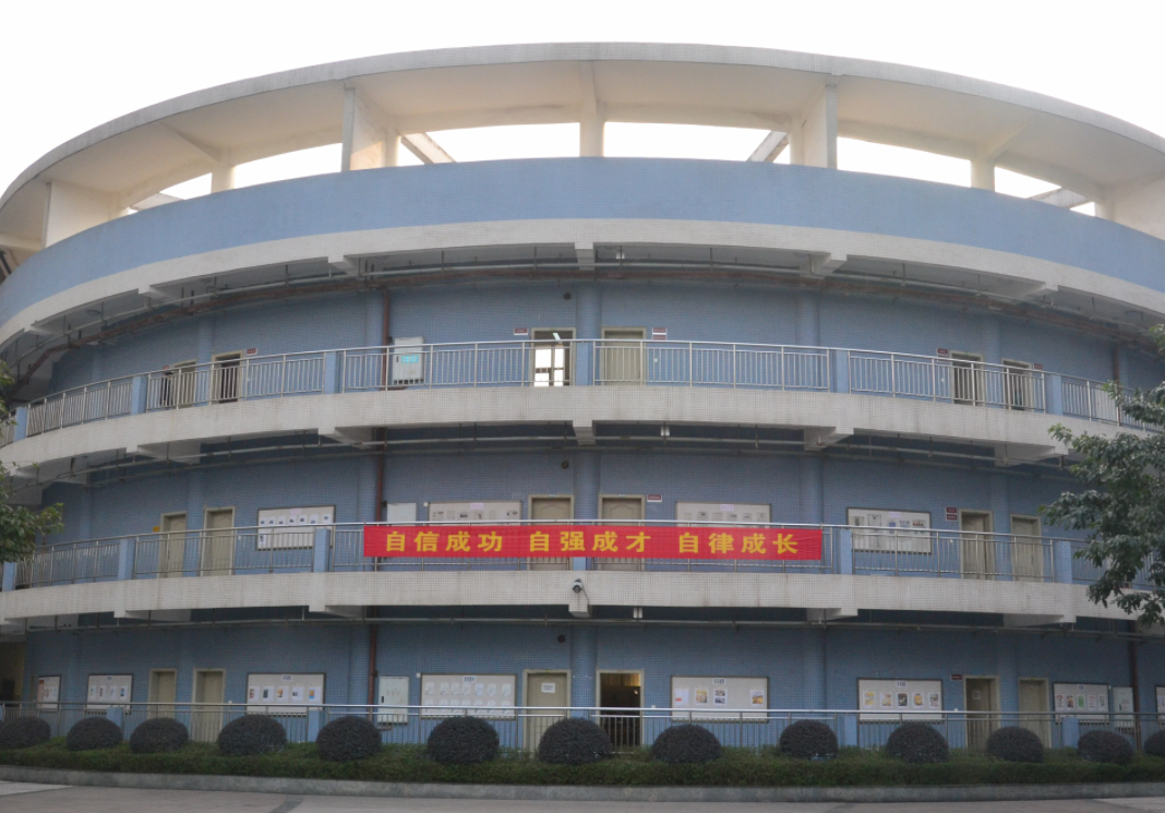 重庆茶园八中是公办还是民办