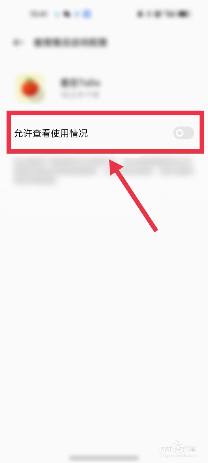 番茄TODO如何打开查看使用情况访问权限
