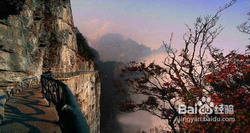 张家界旅游注意事项