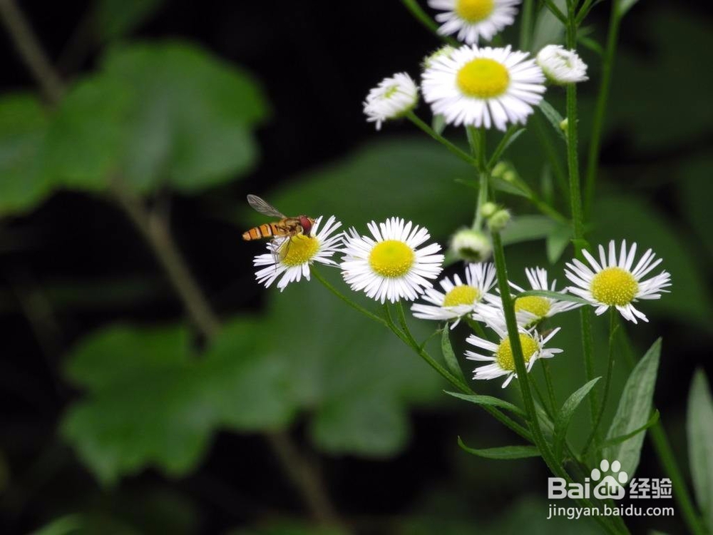 怎么坚持做好一件事