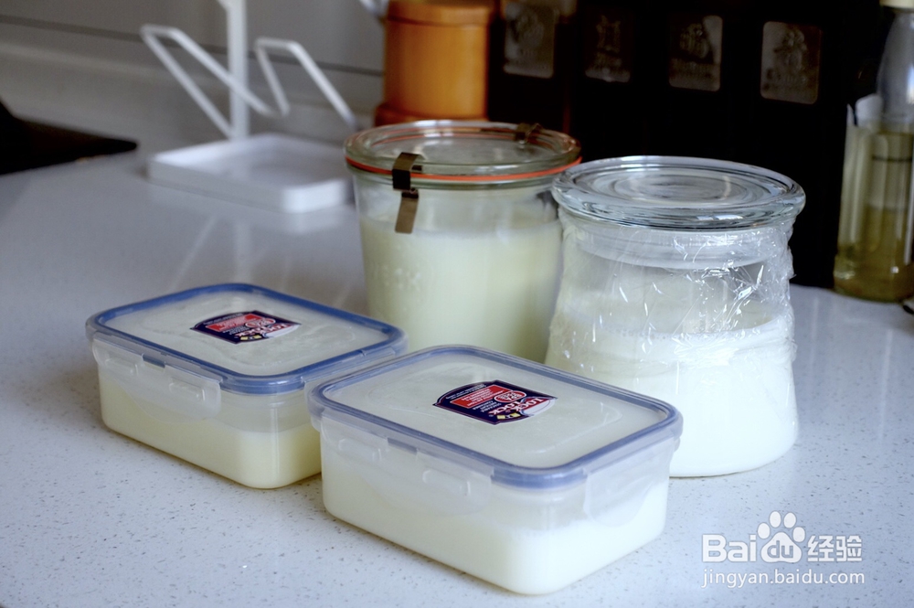 小白也能做脱脂奶粉酸奶