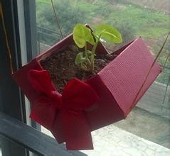 网店货源选择的基本特点