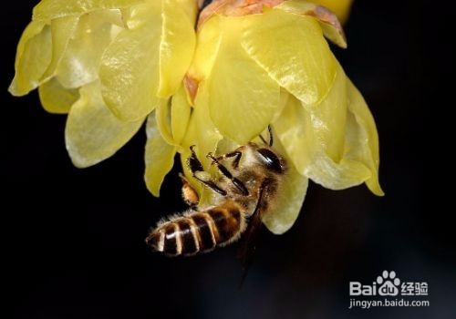 搜狗指南如何写出优质文章