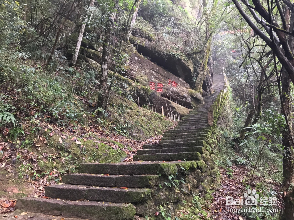 自驾游览武夷山，风景秀丽让人流连忘返！