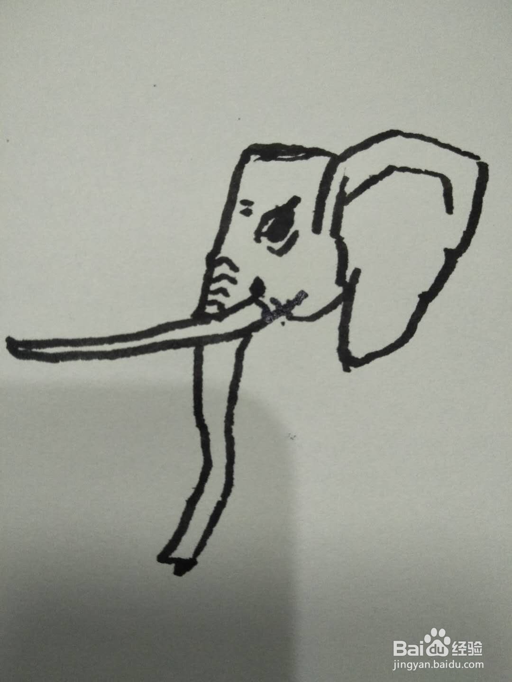 简笔画之大象侧面