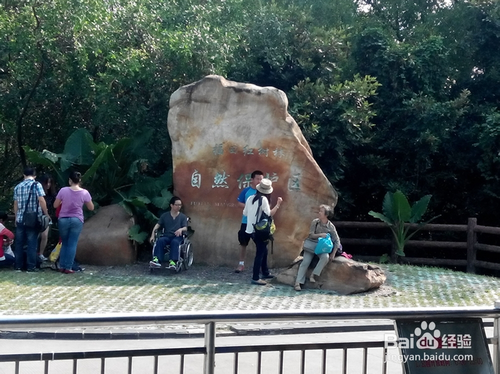 龙华文化广场至福田红树林游玩路线