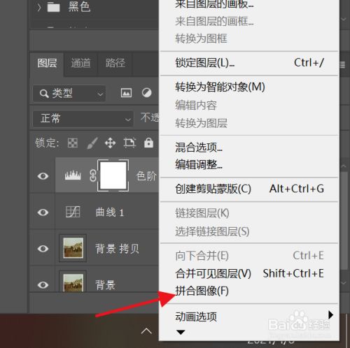 在用ps软件对图像制作完后,怎么合并各个图层