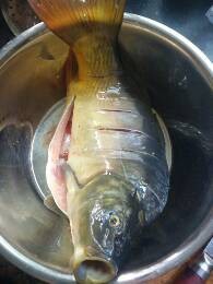 家常鱼的四川做法