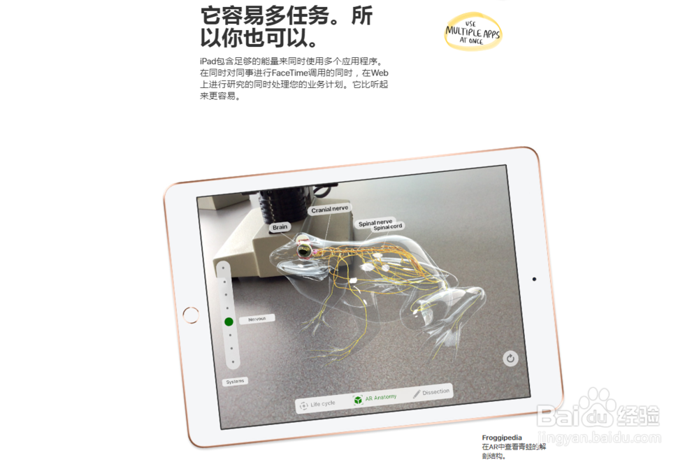 iPad 9.7-英寸-苹果