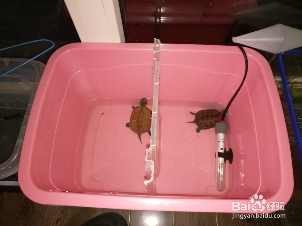 怎么简单制作龟缸隔离板