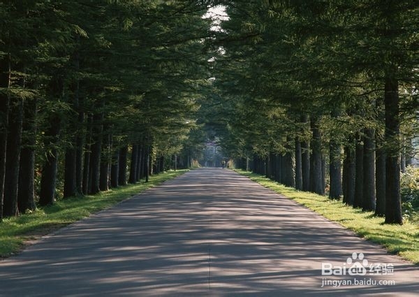 中等生“错题收集”三招