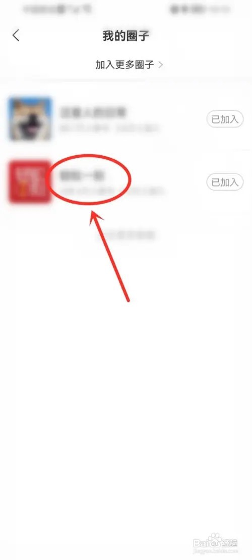 网易新闻圈子打卡在哪？