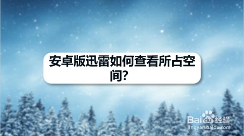 安卓版迅雷如何查看所占空间