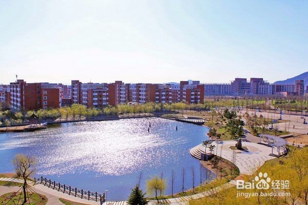 【校园指南】山东科技大学选课篇
