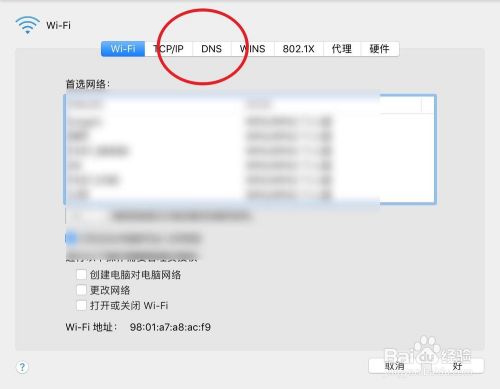 Safari打不开网页怎么办? 苹果浏览器打不开网页