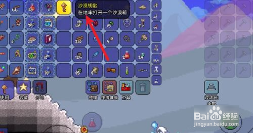 泰拉瑞亚韧皮防御是什么