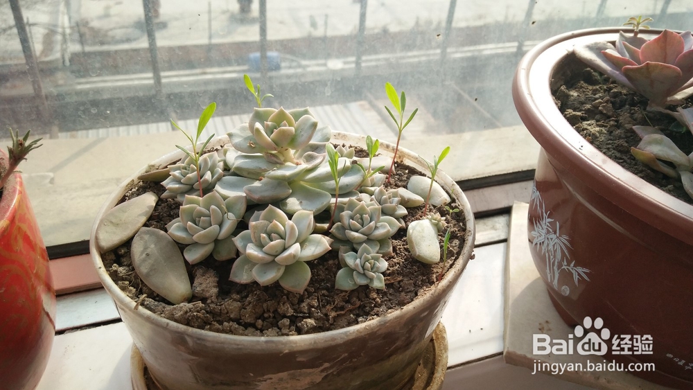 孕期如何注意防辐射、保护宝宝健康