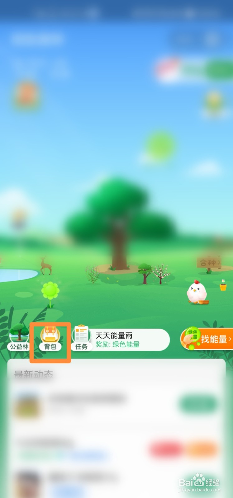 蚂蚁森林道具和装扮在哪里