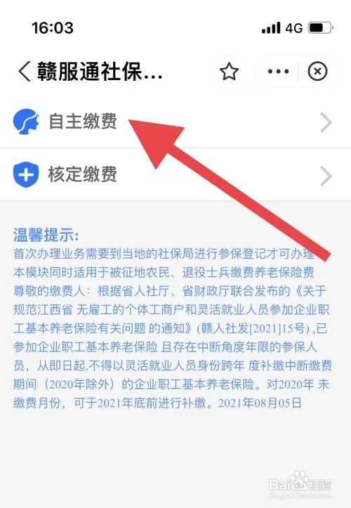 交养老金怎么交