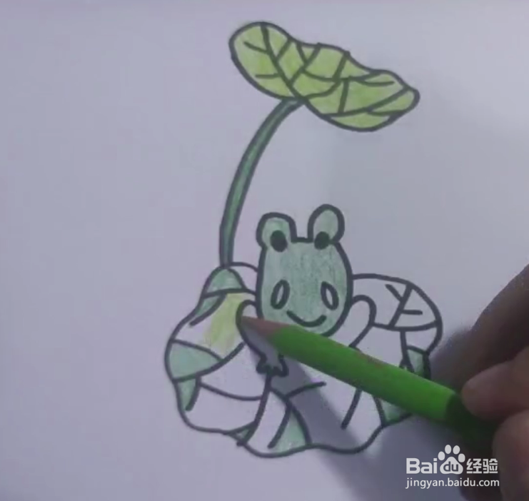 简笔画遮阳的青蛙