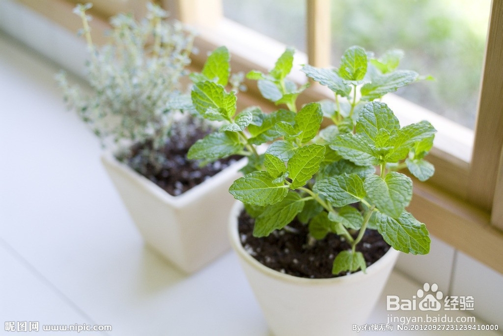 健康生活，健康养生。