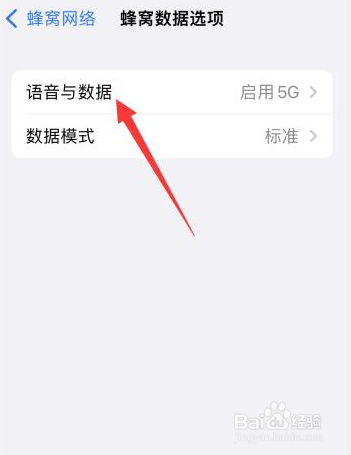 ios16.0打电话没网络怎么设置