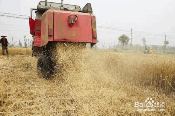 解决耕地土壤存在问题的措施