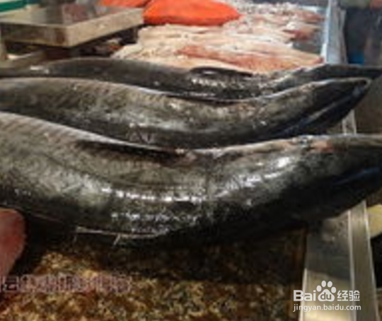 海鲜杂鱼锅一般包含哪些海鲜