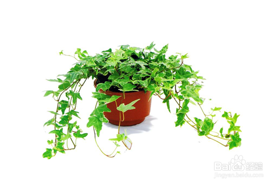 二手烟对孩子的伤害,怎样远离二手烟