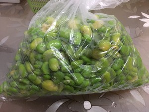 保存蚕豆的最佳方法