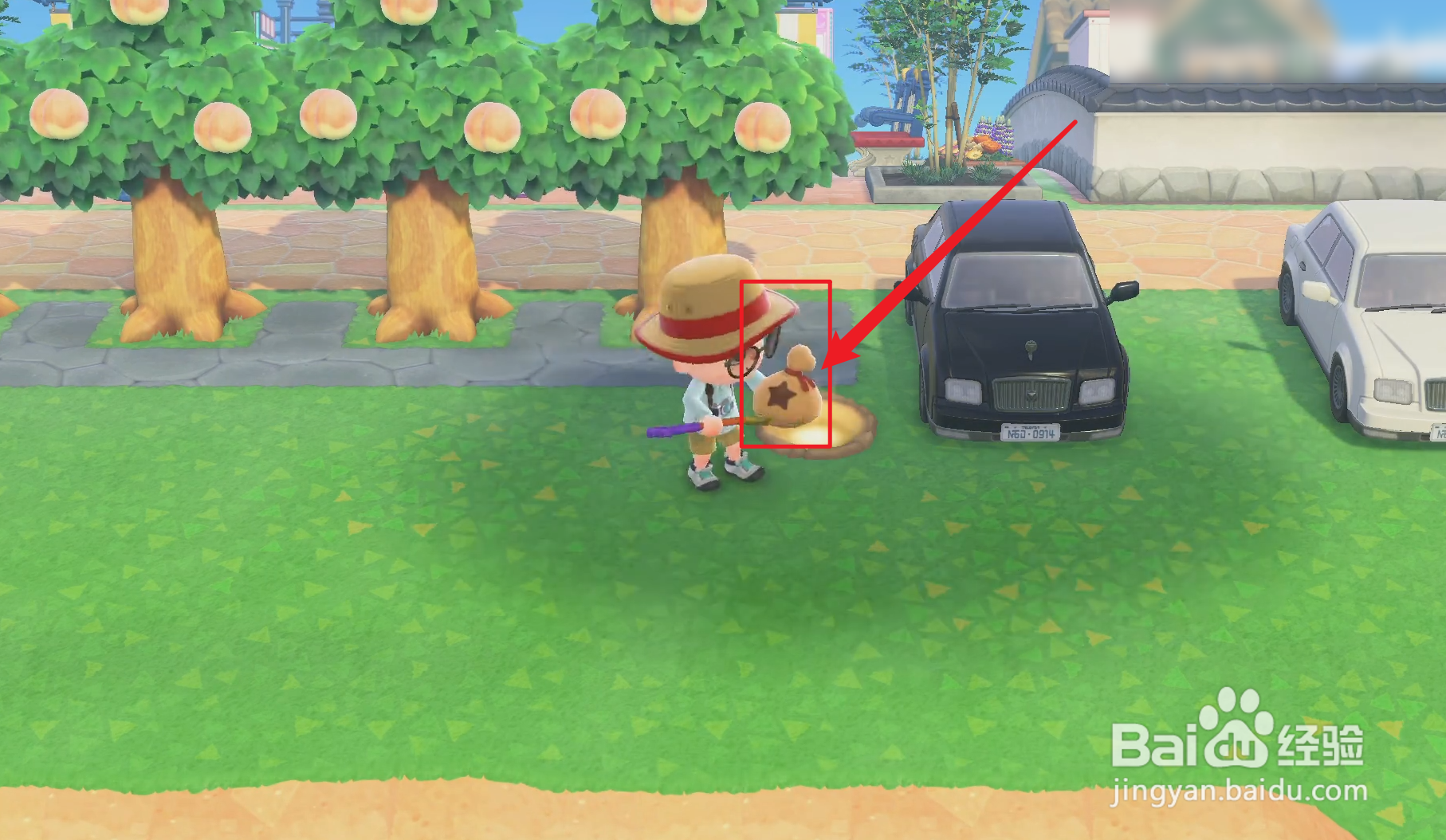 动物森友会铃钱袋子在哪里挖