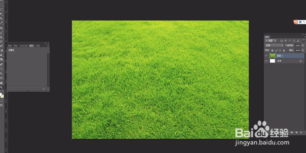 怎么用PS软件制作文字轮廓的草地效果?