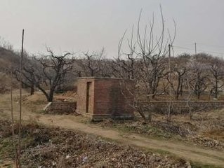 企业可以获得的拆迁补偿有哪些