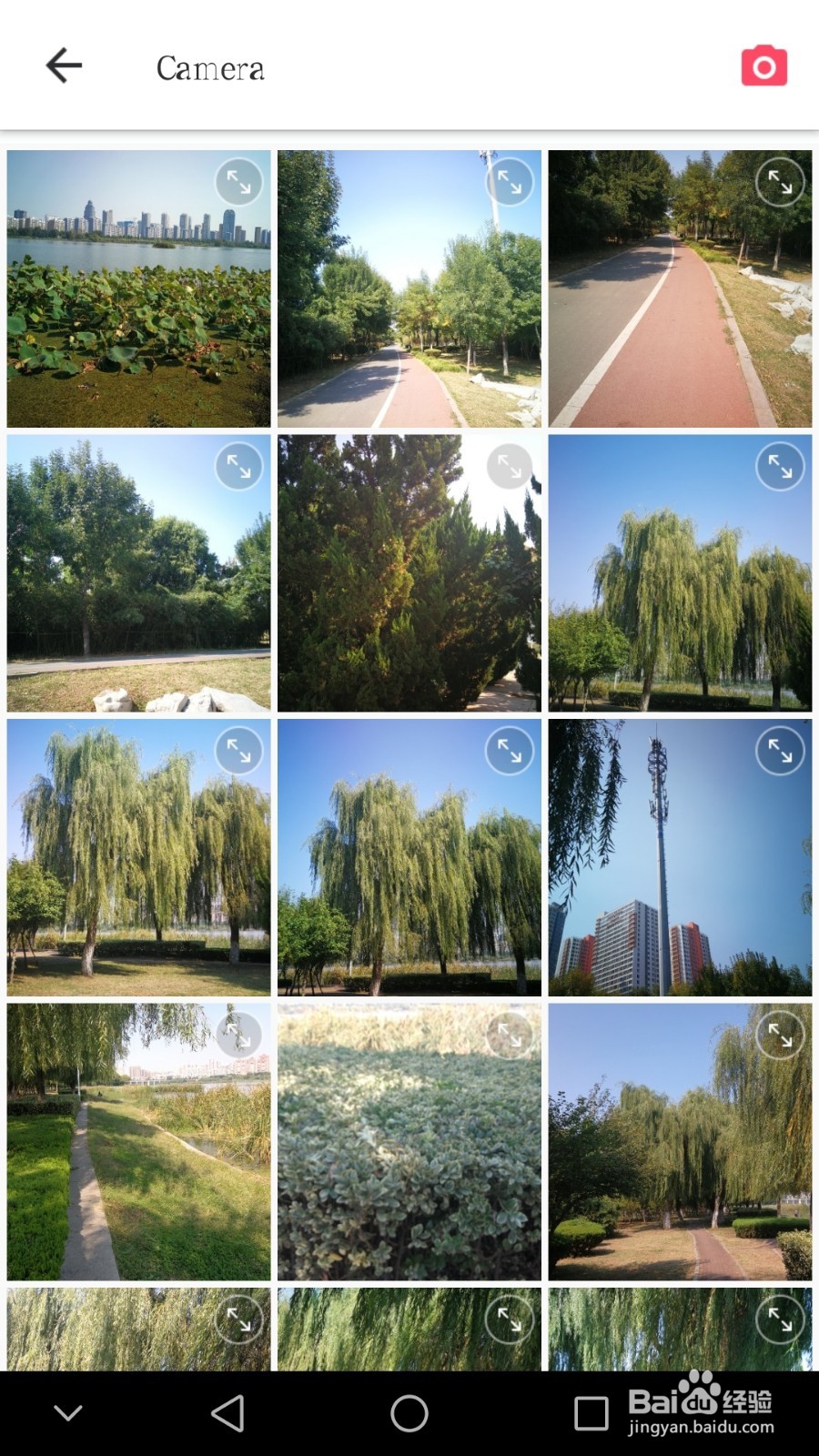 如何对手机图片进行后期美化