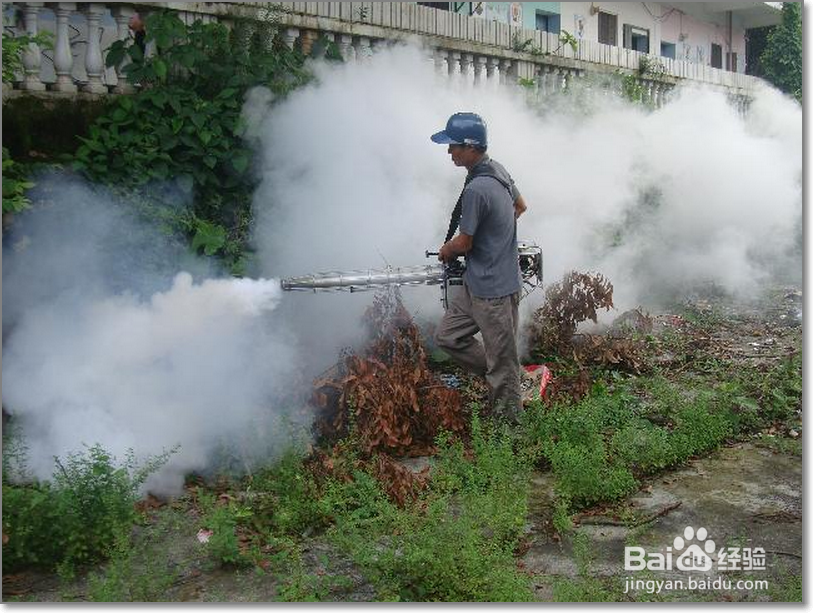 登革热病毒症状有哪些?怎样预防登革热病毒?