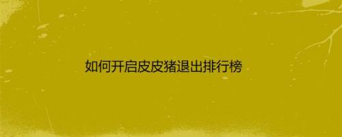 如何开启皮皮猪退出排行榜
