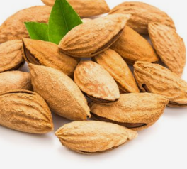 如何区别苦杏仁与甜杏仁?