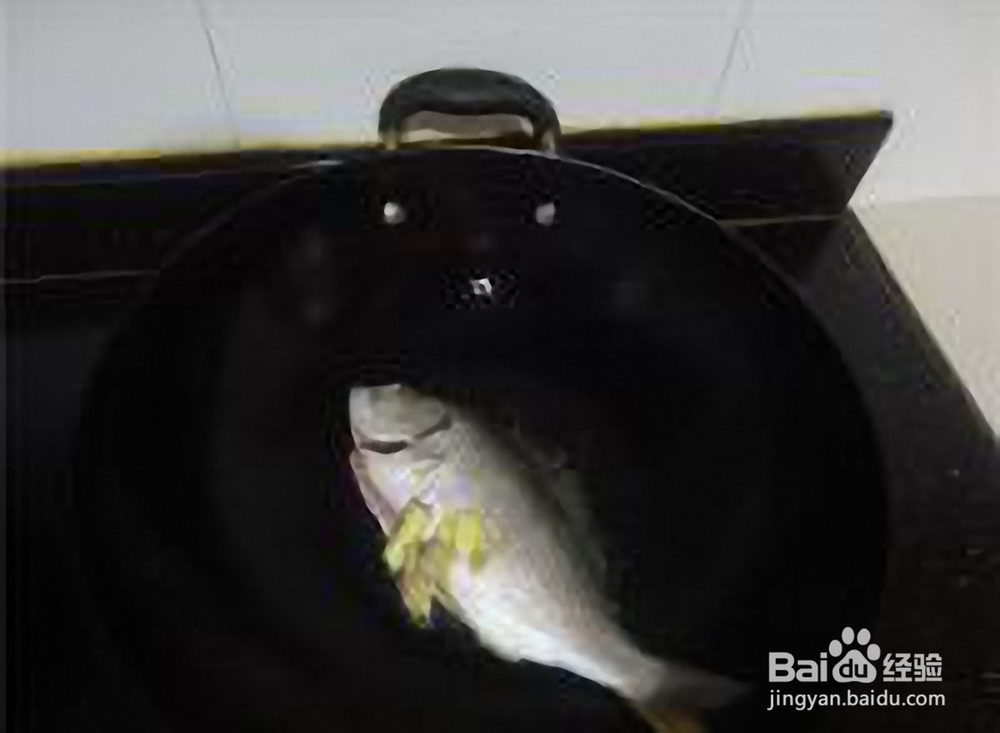 茄汁加黄翅鱼，营养又美味