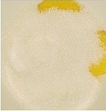 焦糖酱南瓜冰淇淋