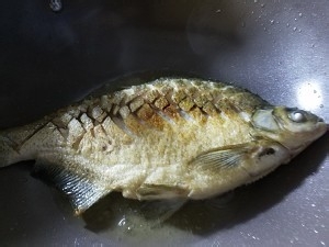 教大家红烧鱼的做法