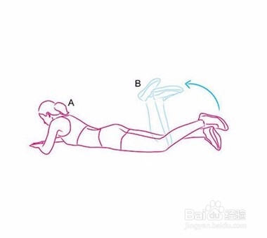 怎样练腿部肌肉使其线条更性感