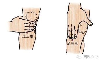 快速给力的10个身体穴位减肥排毒