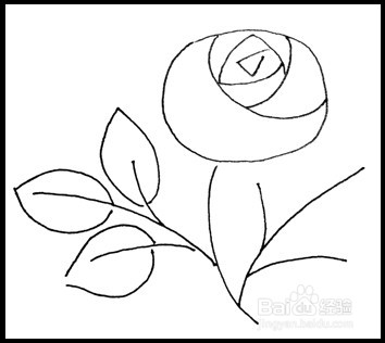 怎样画简笔画（花卉）：[3]玫瑰2