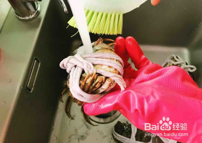 清蒸大闸蟹(鲜）