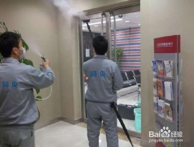 办公室如何去甲醛